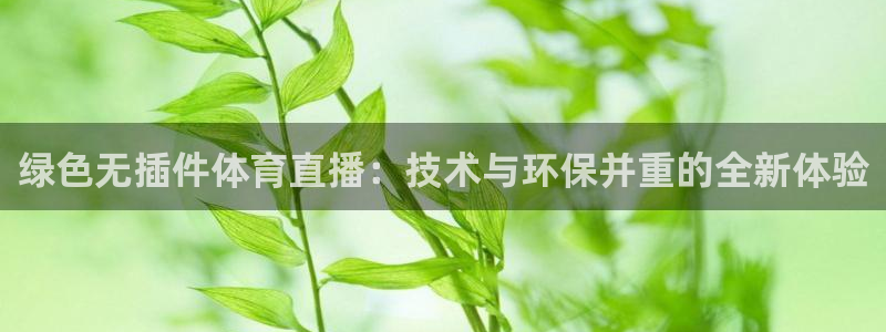 柠檬nba直播：绿色无插件体育直播：技术与环保并重的全新体验