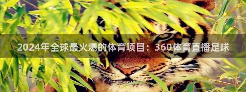 nba柠檬直播体育：2024年全球最火爆的体育项目：360体育直播足球
