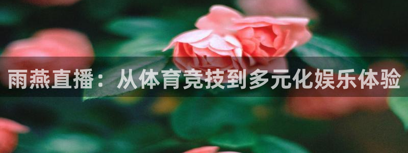 柠檬足球免费直播：雨燕直播：从体育竞技到多元化娱乐体验