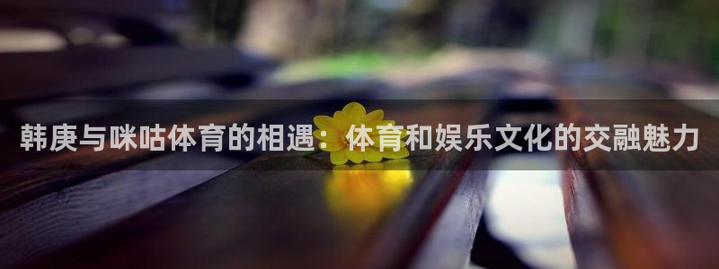 柠檬直播nba体育：韩庚与咪咕体育的相遇：体育和娱乐文化的交融魅力