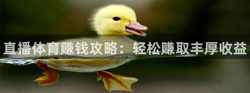 柠檬体育足球直播：直播体育赚钱攻略：轻松赚取丰厚收益