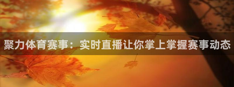 柠檬足球直播免费观看直播：聚力体育赛事：实时直播让你掌上掌握赛事动态