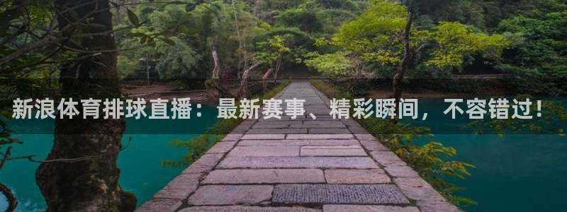柠檬直播篮球：新浪体育排球直播：最新赛事、精彩瞬间，不容错过！