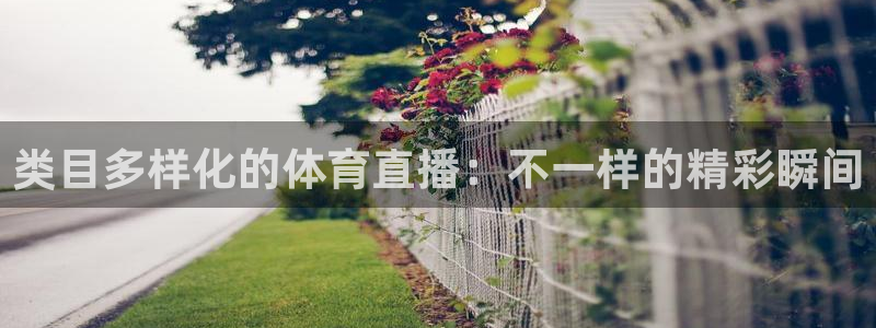 柠檬足球现场直播：类目多样化的体育直播：不一样的精彩瞬间